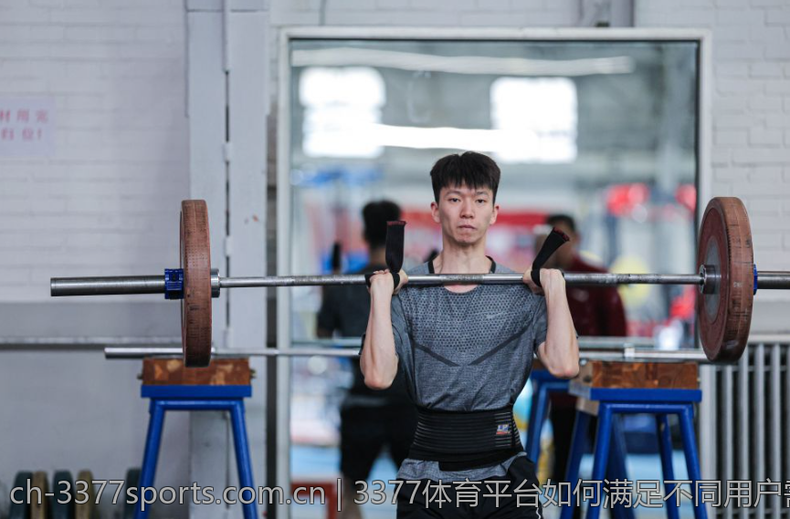 3377体育平台如何满足不同用户需求