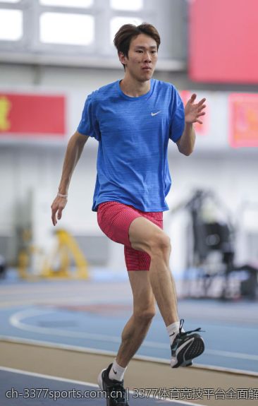 3377体育竞技平台全面解读