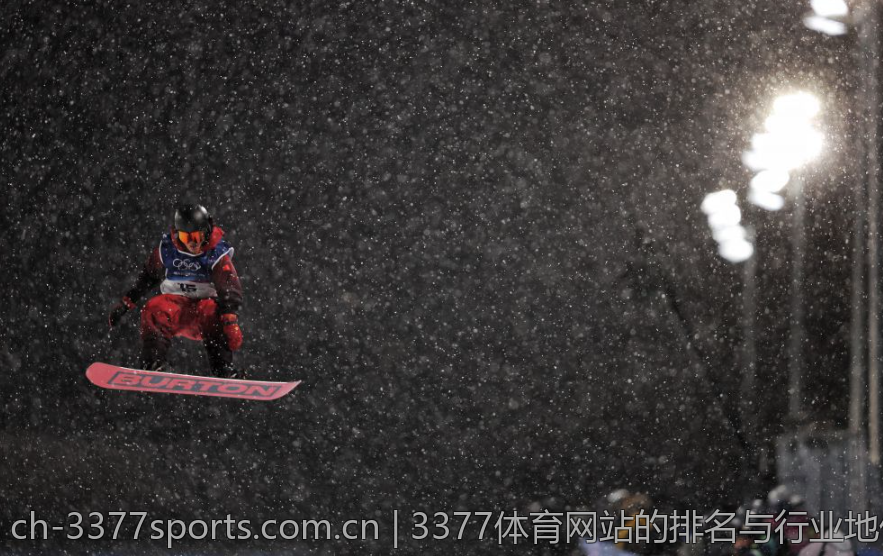 3377体育网站的排名与行业地位分析
