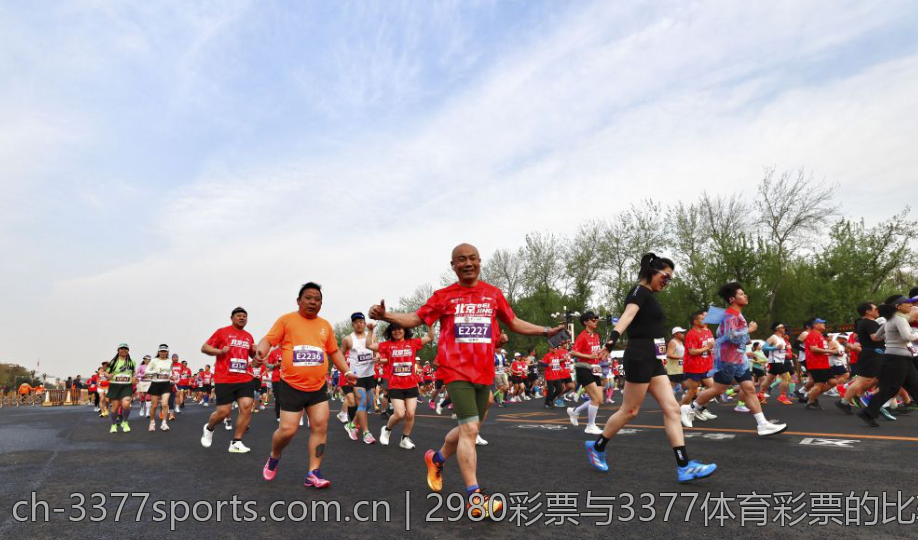 2980彩票与3377体育彩票的比较