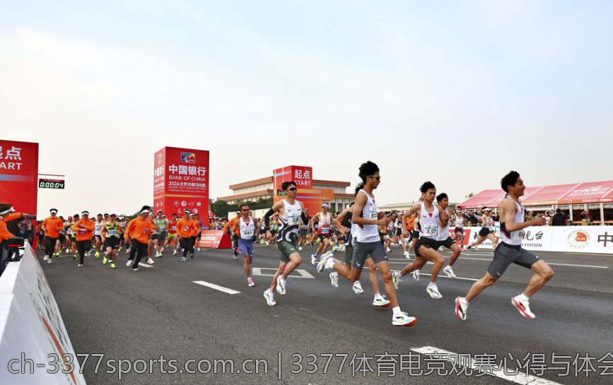 3377体育电竞观赛心得与体会